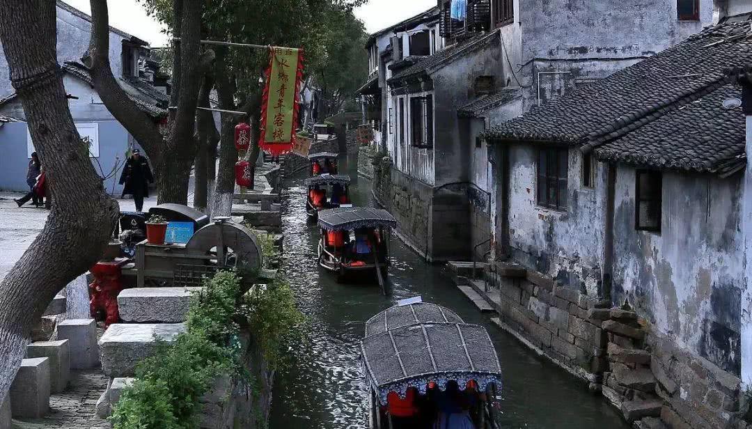 虫虫助手下载